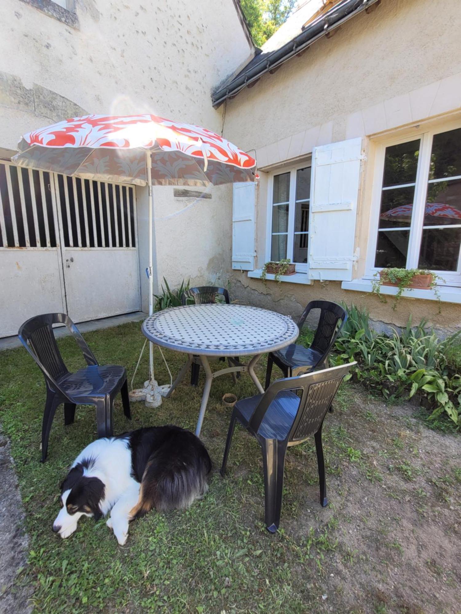 La Maison Aux Iris Poce-sur-Cisse Exterior photo